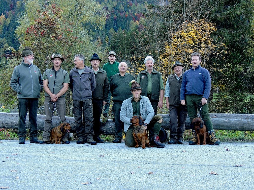 509. Gebrauchsprüfung 2013 in Lavant, Osttirol