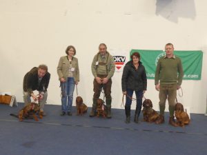 Mutterhündin Cinda z. Buntova (ganz rechts) mit 4 Hunden aus dem letzten Wurf