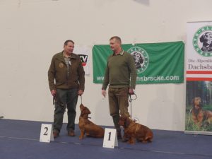 LL MF Harald Heil konnte mit seiner Zuchthündin Cinda z. Buntova die Auszeichnung BOB (Rassebester) an diesem Tag erreichen, 2. HF Stefan Rauchbauer freute sich mit seiner Hündin Emmi vom Schnepfenstein über den Formwert vorzüglich und CACA