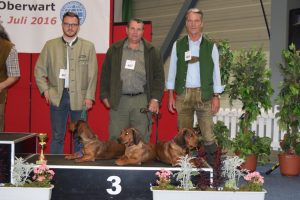 Zuchtgruppe vom Zwinger „Schnepfenstein“ Züchter: Ing. Thomas Rupp