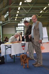 HF Johann Reisenbauer mit seiner Hündin Asta von der Mühlleiten