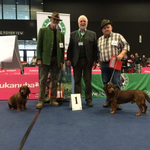 Alois Mattersberger richtete auf der Internationalen Hundeausstellung 2016 in Salzburg