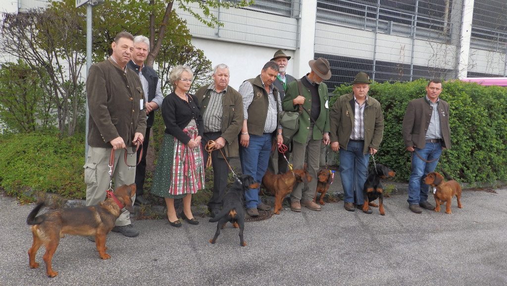Teilnehmer der Internationalen Hundeausstellung 2016 in Salzburg - Klub Dachsbracke
