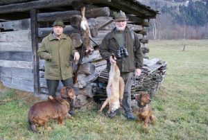 Klub Dachsbracke Mattersberger