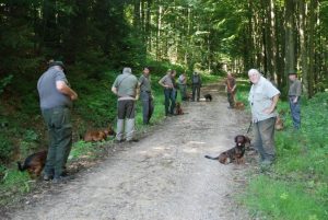 Übungstag Seitenstetten 2016