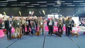 Teilnehmer IHA Salzburg 2014