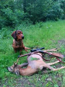 Gonzo nach erfolgreichem Jagdtag
