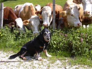 Lenz mit seinen Freunden