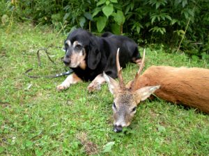 Lenz nach erfolgreicher Nachsuche
