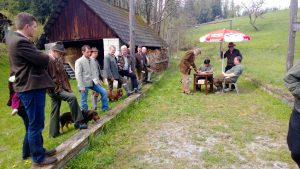 Landestreffen Steiermark 2014 - (c) Klub Dachsbracke