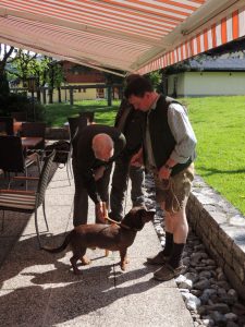 Landestreffen Tirol 2014 - (c) Klub Dachsbracke