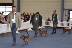 von vorne nach hinten: Georg Hubmer mit Eddie vom Schnepfenstein; Stefan Rauchbauer mit Emmi vom Schnepfenstein; Rudolf Hofer mit Erro vom Schnepfenstein (WD: 13.6.2014; Zuchthündin: Chira v. Morthbühel; Züchter: Thomas Rupp)