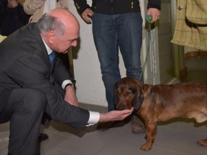 Landeshauptmann Dr. Erwin Pröll mit Eddie vom Schnepfenstein
