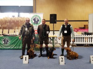 IHA Wieselburg 2017 - Robert Solarzyk mit Caja vom Salzatal, Florian Kreuzbichler mit Vitta von Egersbach und Alois Huber mit Vesta vom Schloss Greisenegg