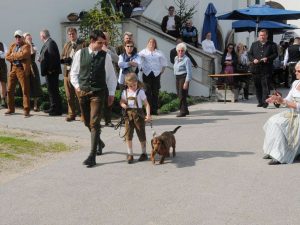 Klub Dachsbracke - Jagdhunde Vorführung am Bezirksjägertag Mödling 2017