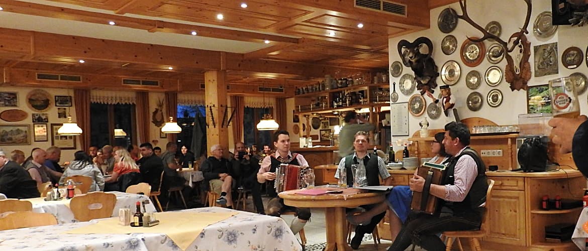 Internationale Zuchtschau - Klub Dachsbracke - 2017