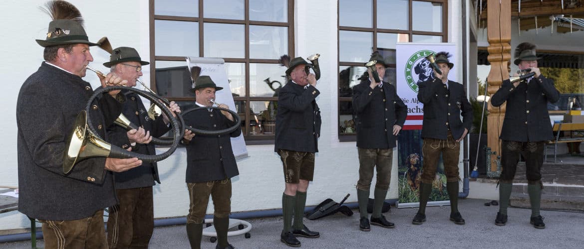 Internationale Zuchtschau - Klub Dachsbracke - 2017