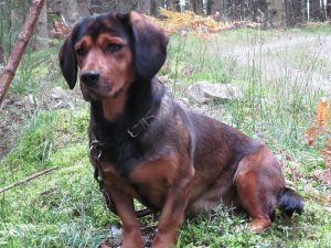 Tira von der Ganzerin