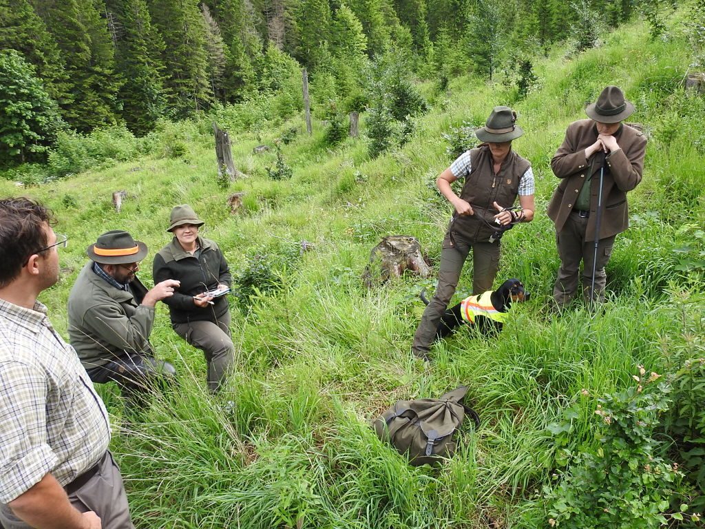 Daniela Hoffelner mit Elvy Prinzessin v. Gaschbach - am Beginn der Schweißarbeit