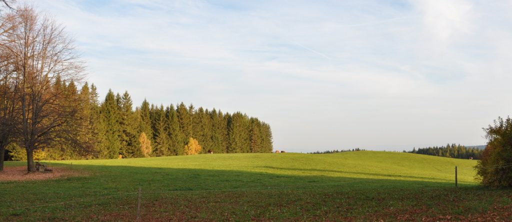535. Gebrauchsprüfung des Klub Dachsbracke in Trahütten/Weststeiermark