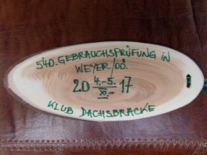 540. Gebrauchsprüfung in Weyer/Oberösterreich – Klub Dachsbracke 2017