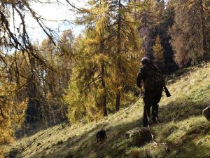 539. Gebrauchsprüfung in Lavant/Osttirol – Klub Dachsbracke 2017