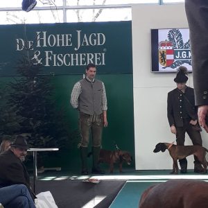 Hannes Tranninger mit Veit von der Mieleralm - Hohe Jagd 2018 - Klub Dachsbracke