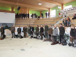 17 Jagdhunderassen bei der Jagdhundevorführung anlässlich der Trophäenschau 2018 im Jagdbezirk Leoben - Klub Dachsbracke