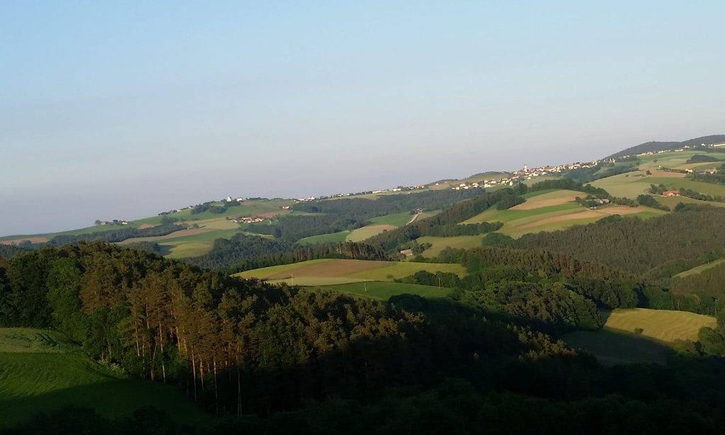 Sonderübungstag in der Buckligen Welt 2018 - Klub Dachsbracke