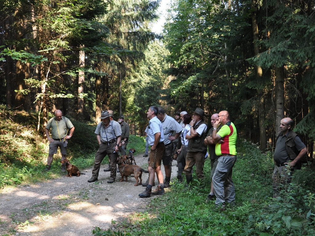 Peter Niethammer kommentierte die Arbeit und gab wertvolle Hinweise - Übungstag der Landesgruppe Wien/Nö/Bgld. 2018 – Klub Dachsbracke