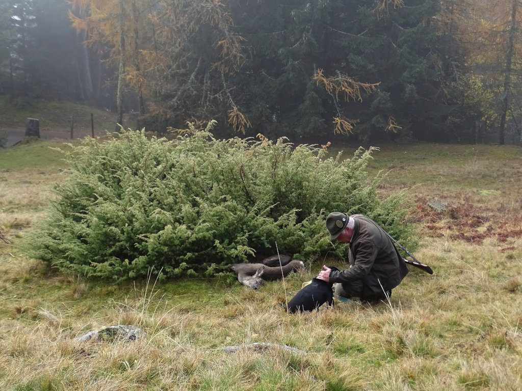 Nach erfolgreicher Arbeit - 545. Gebrauchsprüfung - Klub Dachsbracke 2018