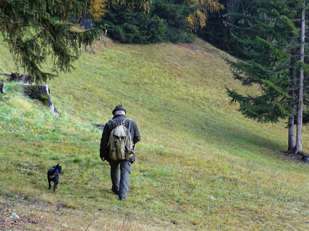 Hundeführer Hubert Dapunt mit Cira vom Blaufeld - 545. Gebrauchsprüfung - Klub Dachsbracke 2018