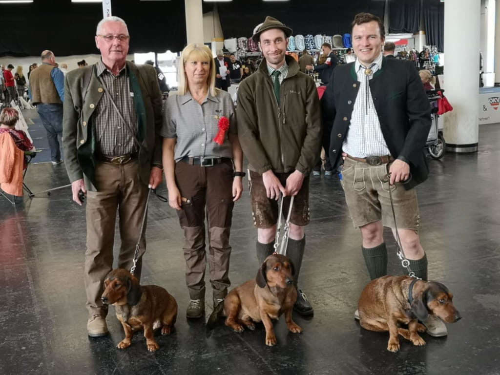 vlnr: Helmut Wais mit Cilli von Hinterwinkel, Formwertrichterin Andrea Prenner, Tobias Schneider mit Jago von der Schlossherrnalm und Ausstellungsreferent Georg Hubmer mit Eddie vom Schnepfenstein - IHA 2019 Wieselburg - Klub Dachsbracke