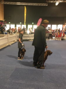 Freude im Ehrenring - IHA 2019 Wieselburg - Klub Dachsbracke