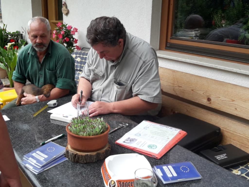 Dr. Georg Urak bei der Welpenabnahme - Zwinger „vom Spatzberg“ - Klub Dachsbracke 2019