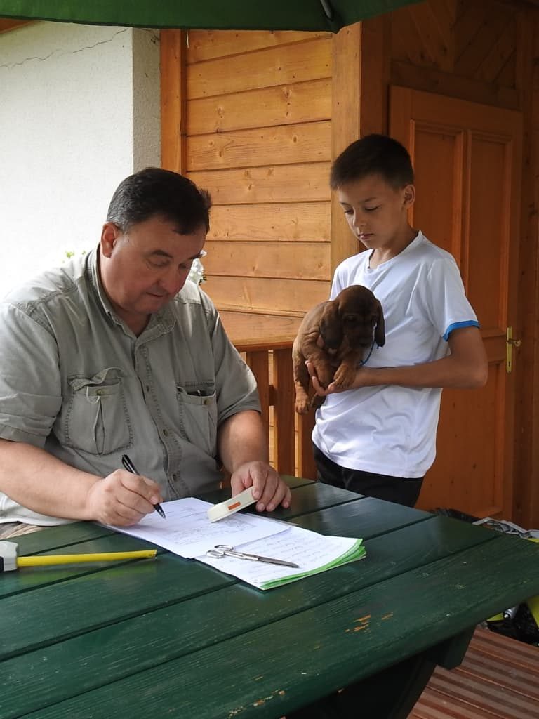 ... und protokolliert.