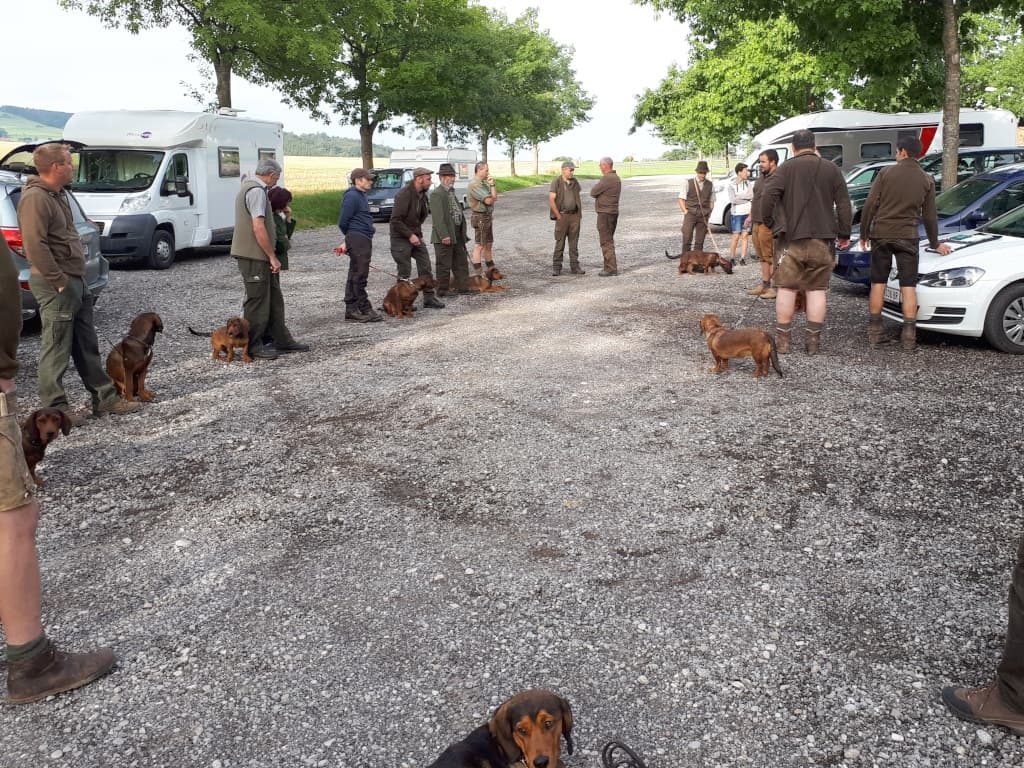 Begrüßung der Teilnehmer am Parkplatz des Stiftes Seitenstetten - Übungstag der Landesgruppe Wien/Nö/Bgld. 2019 – Klub Dachsbracke
