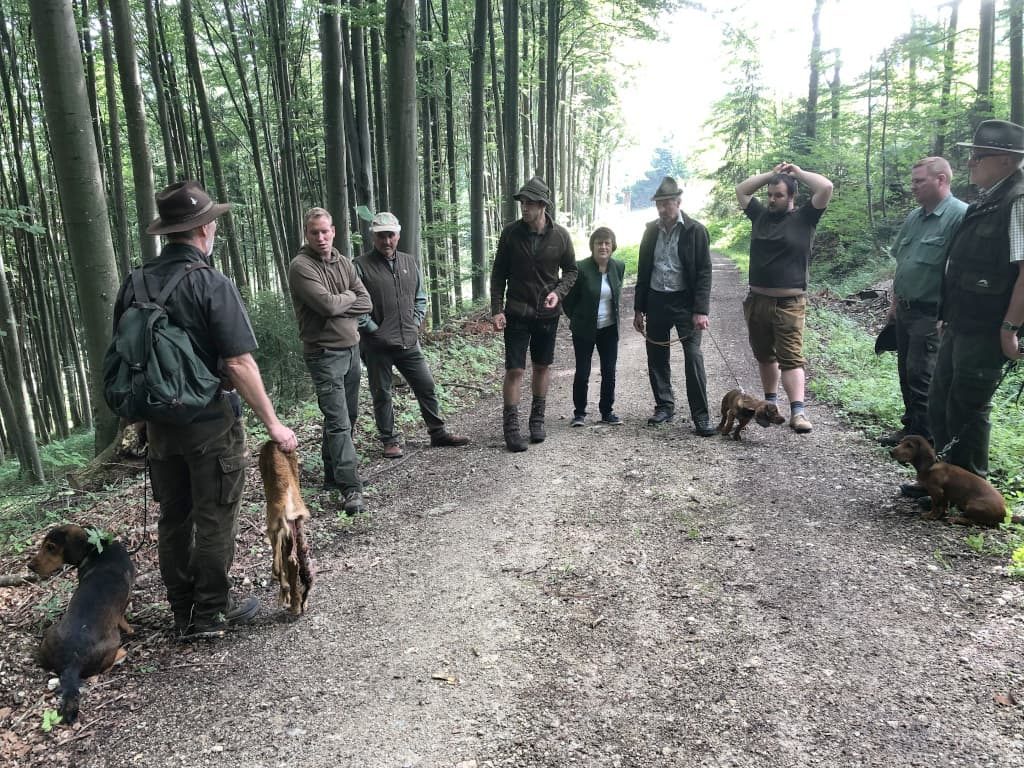 Die Gruppen wurden von einem Leistungsrichter und einem Leistungsrichteranwärter betreut - Übungstag der Landesgruppe Wien/Nö/Bgld. 2019 – Klub Dachsbracke